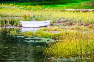 Skiff-at-Little-Harbor-Chatham-Cape-Cod-Massachusetts