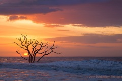 Charleston South Carolina