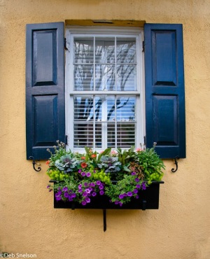 Charleston-SC-South-Carolina-Rainbow-Row-Historic-Houses-window-box