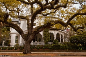 Charleston-SC-South-Carolina-South-Battery-Historic-house-3