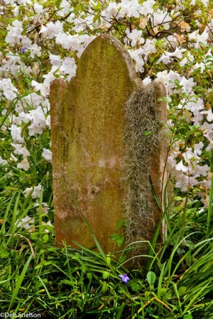 Charleston-SC-South-Carolina-St-Michaels-Episcopal-Church-cemetary-3
