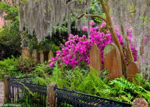Charleston-SC-South-Carolina-St-Michaels-Episcopal-Church-cemetary