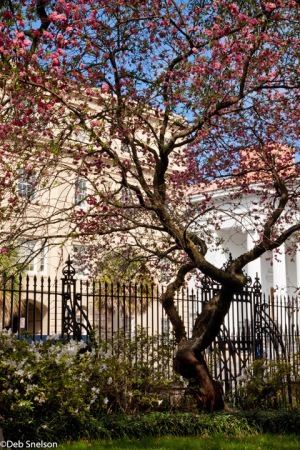 Charleston-SC-South-Carolina-Washington-Square-Park