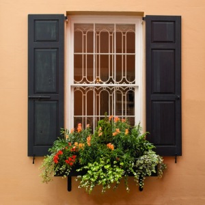 Shuttered-window-and-Window-box-Charleston-SC-South-Carolina