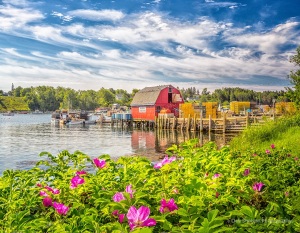Glens-Lobsters-Bailey-Island-Maine