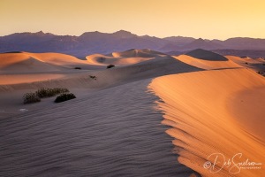First-Light-Mesquite-Flat-Sand-Dunes-Death-Valley-National-Park