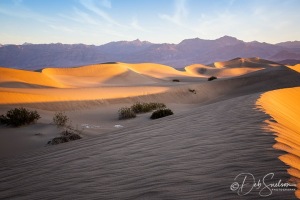 Mesquite-Flat-Sand-Dunes-First-Light-Death-Valley-National-Park