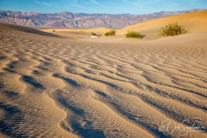 Sand-Dune-Patterns-Mesquite-Flat-Death-Valley-National-Park