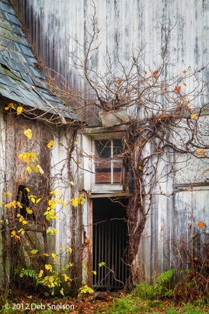 Abandoned-barn-Eshback-Farm-Delaware-Water-Gap-Pennsylvania-Fall-foliage-October-2012-Autumn-PA
