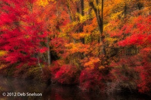 Hidden-Lake-Delaware-Water-Gap-Pennsylvania-Dawn-Fall-foliage-October-2012-Autumn