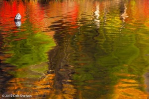 Hidden-Lake-Delaware-Water-Gap-Pennsylvania-Dawn-Fall-foliage-October-2012-Reflections