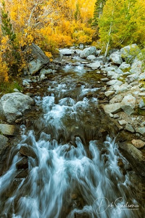 Bishop_Creek_near_North_Lake_Eastern_Sierra_California