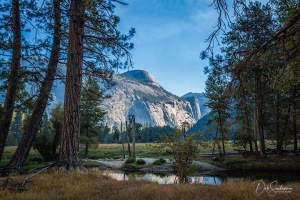 Cooks_Sentinel_Meadow_Loop_Trail_Yosemite_National_Park_California