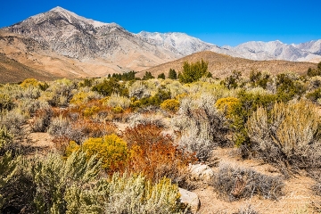 Drive_into_Eastern_Sierra_Onion_Valley_Road