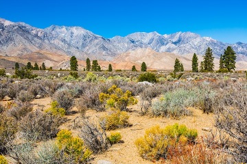 Eastern_Sierra_Desert_California