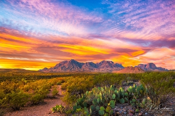 First Light on Chisos Mountains