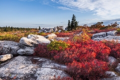 Autumn_at_Dolly_Sods_Potomac_Highlands_Davis_West_Virginia