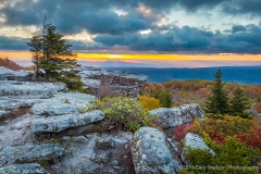 Bear_Rocks_Preserve_Dolly_Sod_Wilderness_West_Virginia_Potamac_Highlands_Allegheny_Mountains_2