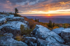 Bear_Rocks_Preserve_Sunburst_Dolly_Sods_Wilderness_West_Virginia_sunrise