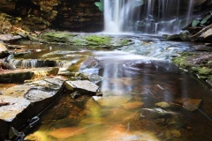 Elakala_Falls_Blackwater_Falls_State_Park_Autumn_reflection_West_Virginia