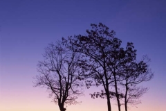 Hazel_Mountain_Overlook_Shenandoah_National_Park_sunrise_Virginia