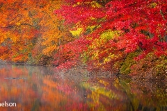 Hidden_Lake_Delaware_Water_Gap_Pennsylvania_Dawn_Fall_foliage__October_2012_Autumn_3