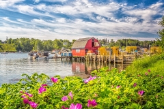 _I1A5725-Glens_Lobsters_Bailey_Island_Maine2_720