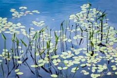 _I1A6264_Pond_in_Somesville_720