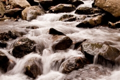 IMG_4567-1-720-web5