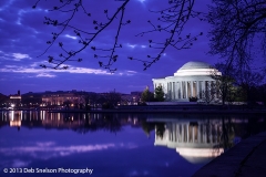 Jefferson_Memorial_Washington_DC_Tidal_Basin_Blue_moment_Predawn_cherry_blossom_buds_Low_light_photography