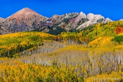 Kebler_Pass_Autumn_Color_Aspens_Colorado