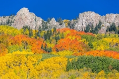 Kebler_Pass_Color_in_Autumn_Aspens_Colorado