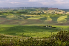 Steptoe_Butte_View_of_Windfarm__Colfax_Washington_Palouse