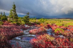 Storm_Approaching_Bear_Rocks_Preserve_Dolly_Sod_Wilderness_West_Virginia_Potomac_Highlands_Allegheny_Mountains