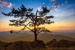 Sunburst_at_Ravens_Roost_Overlook_Blue_Ridge_Parkway_Virginia