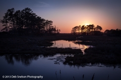 Sunset__Assateague_National_Wildlife_Refuge_Chincoteague_Island_Virginia_Eastern_Shore_Marsh_silhouettes_tranquility