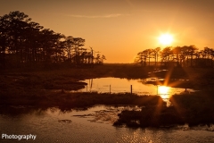 Sunset__Assateague_National_Wildlife_Refuge_Chincoteague_Island_Virginia_Eastern_Shore_Marsh_silhouettes_tranquility_Golden