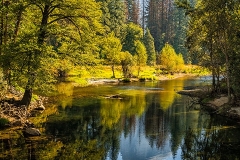 View_to_Half_Dome_Yosemite_National_Park_California