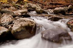White_Oak_Canyon_golden_river