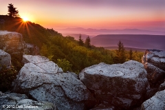 c74-Rosy_Dawn_Dolly_Sods_Wilderness_West_Virginia_sunrise_Allegheny_Mountains