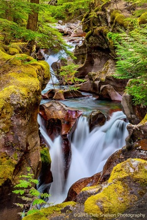 Avalanche_Gorge_flow_Glacier_National_Park_Montana-c4