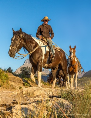 Cowboy_leading_horses_to_riding_stable_Many_Glacier_Glacier_National_Park_Montana_USA-c58