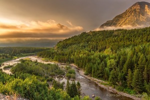 Fog_lifting_over_Swiftcurrent_River_Many_Glacier_area_Glacier_National_Park_Montana_USA-c31