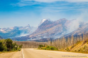 Reynolds_Creek_Fire_2015_Glacier_National_Park_Montana-c44