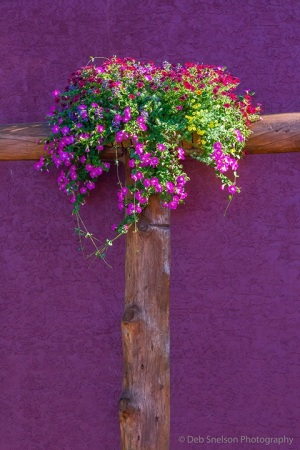 Waterton_Lakes_Canada_flowers_on_side_of_building