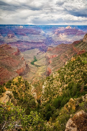 South_Rim_Trail_Vista