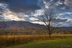Cades-Cove-Autumn-Great-Smoky-Mountains-Tennessee