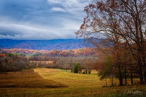 Cades-Cove-Loop-Road-Great-Smoky-Mountain-NP-Tennessee