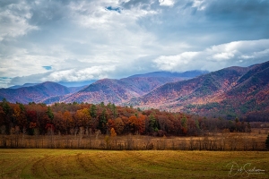 Cades-Cove-Loop-Road-Great-Smoky-Mountains-Tennessee