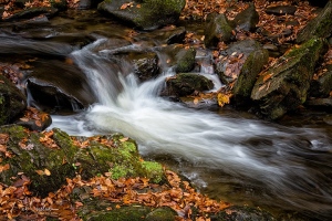 Great-Smoky-Mountains-Cascade-in-Autumn